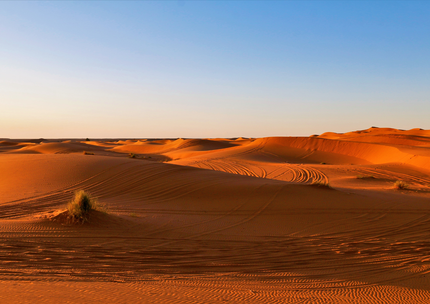 Whispers of the Desert – Sand Dune Adventure
