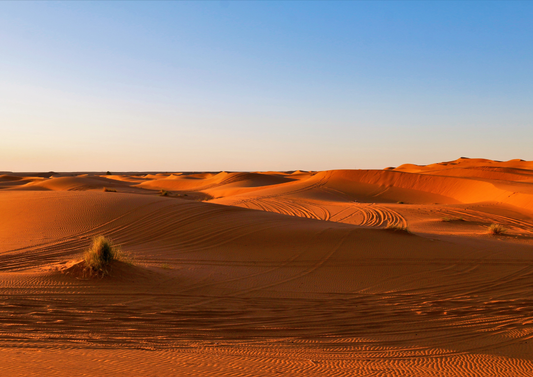 Whispers of the Desert – Sand Dune Adventure