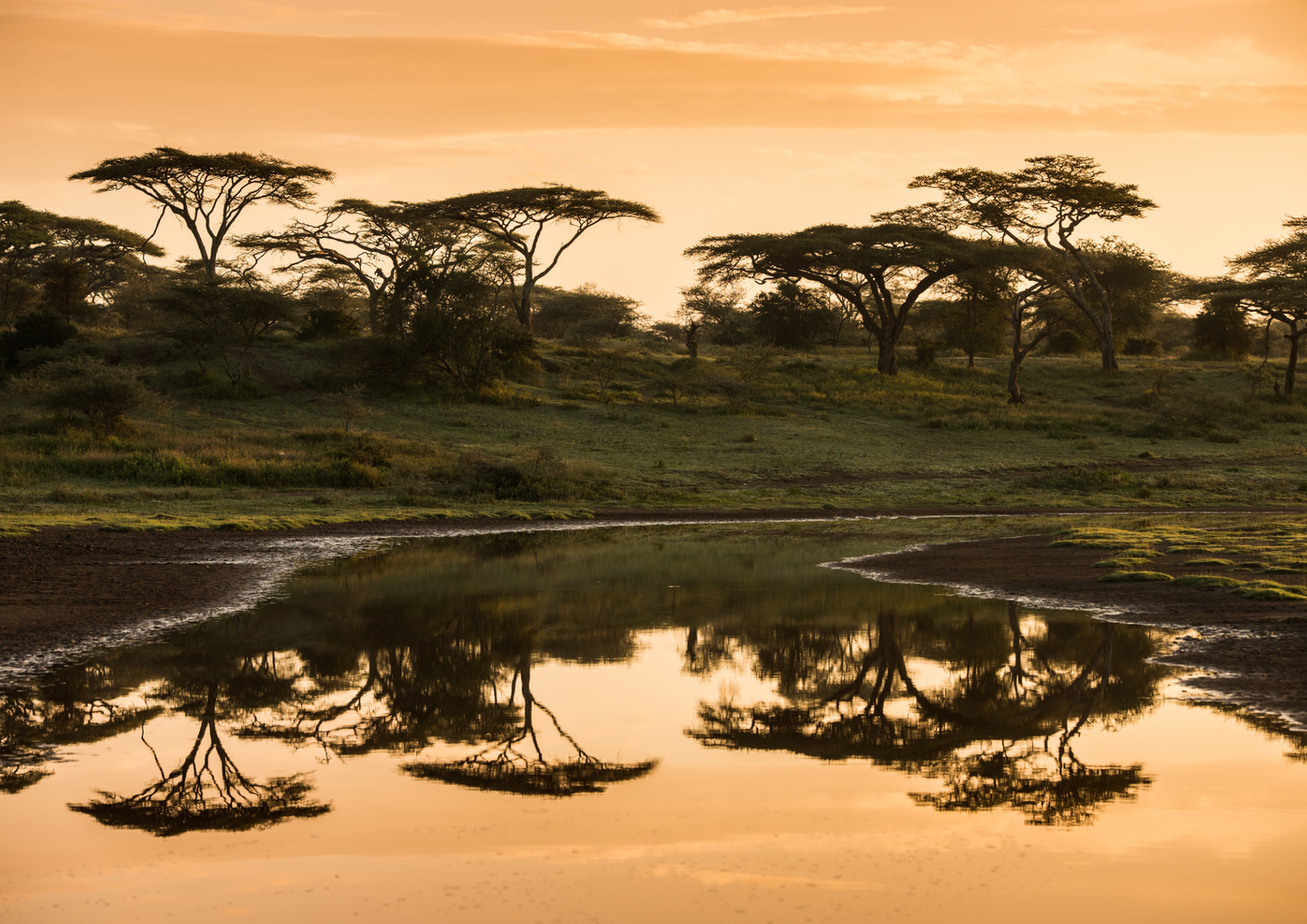 Waterways of Africa – Lakes & Rivers Safari