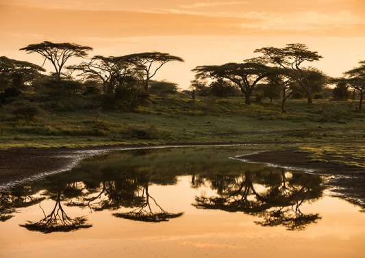 Waterways of Africa – Lakes & Rivers Safari