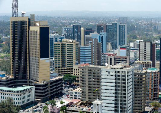 Tokyo Skyline Experience – Where Tradition Meets Innovation