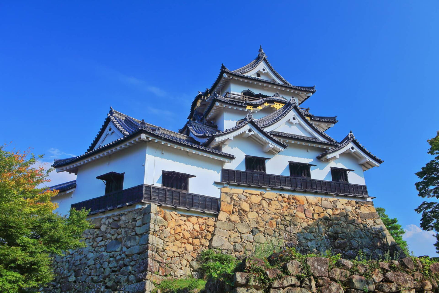 6月出発【日本】近江商人の故郷と神が宿る竹生島　歴史折り重なる名勝・旧跡を巡る滋賀周遊の旅【4日間】